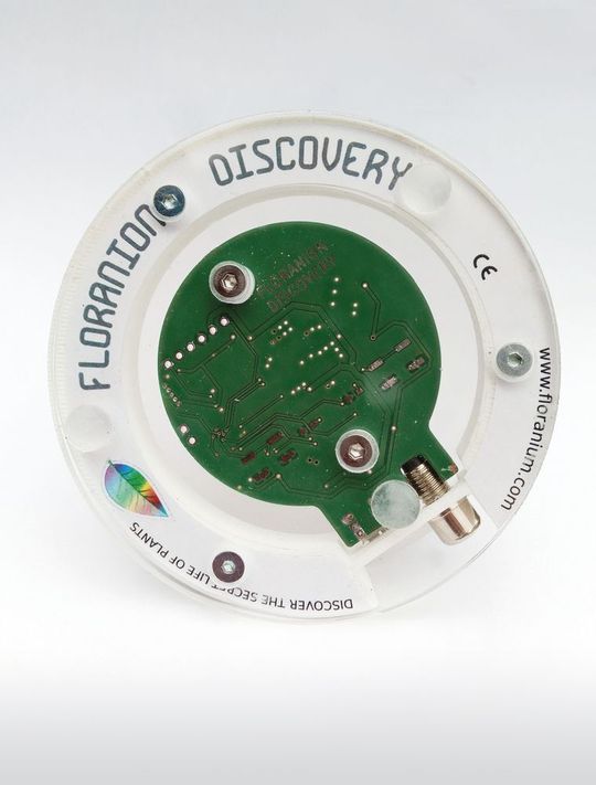 Bild 4: Unterseite des Floranion Discoveries