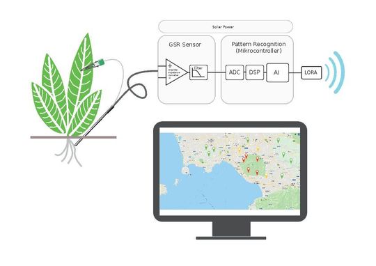 Bild 4: Zukunftsvision Floranium-Projekt: Die gemessenen Pflanzensignale von vielen verteilten Floranions könnten via Deep Learning (künstliche Intelligenz) beurteilt werden, um Auffälligkeiten in der Umwelt zu alarmieren.
