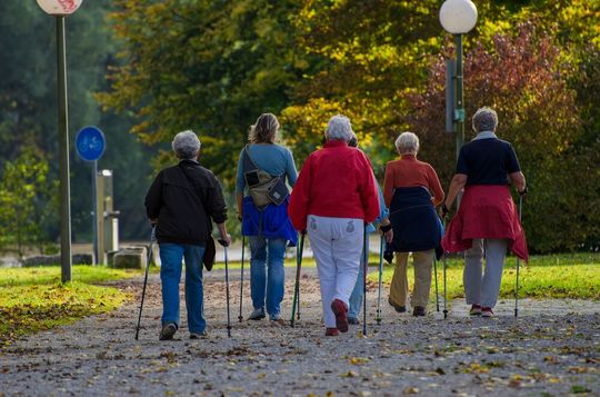 Menschen mit Prädiabetes erhalten die ärztliche Empfehlung, regelmäßig Sport zu treiben. Ein bestimmter Anteil der Betroffenen weist jedoch eine sogenannte Trainingsresistenz auf: bei ihnen zeigt der Sport keinerlei Wirkung oder fördert gar die Entwicklung von Diabetes. Menschen mit Prädiabetes erhalten die ärztliche Empfehlung, regelmäßig Sport zu treiben. Ein bestimmter Anteil der Betroffenen weist jedoch eine sogenannte Trainingsresistenz auf: bei ihnen zeigt der Sport keinerlei Wirkung oder fördert gar die Entwicklung von Diabetes.