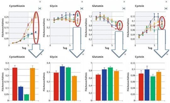 2 Grafische Auswertesoftware zur schnellen Beurteilung von Analyseergebnissen