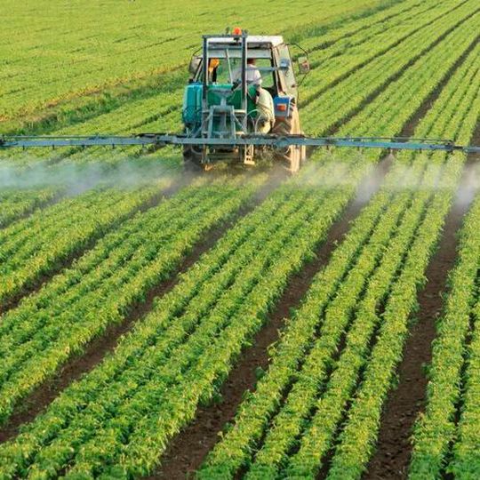 The project is part of the Government of India's efforts to increase domestic urea capacity for fertiliser production, reducing India's reliance on imported urea and fertiliser. The project is part of the Government of India's efforts to increase domestic urea capacity for fertiliser production, reducing India's reliance on imported urea and fertiliser.