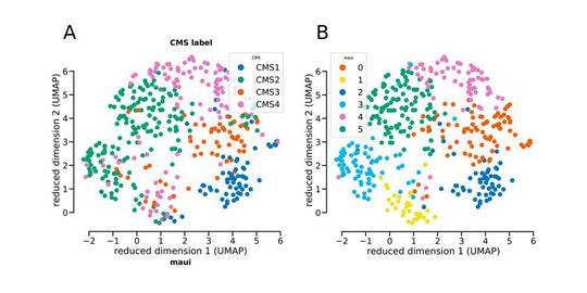 Proben von Darmkrebstumoren kann man – gemäß der Genexpression – in vier Standard-Subtypen einordnen. Die Plattform maui hat die Proben ähnlich klassifiziert. Allerdings gibt es nun Hinweise darauf, dass Subtyp 2 (in grün, Abbildung A) eigentlich in zwei Subtypen unterteilt werden müsste (grün und hellblau in Abbildung B).