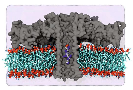 Simulation eines Aerolysinkanals Simulation eines Aerolysinkanals