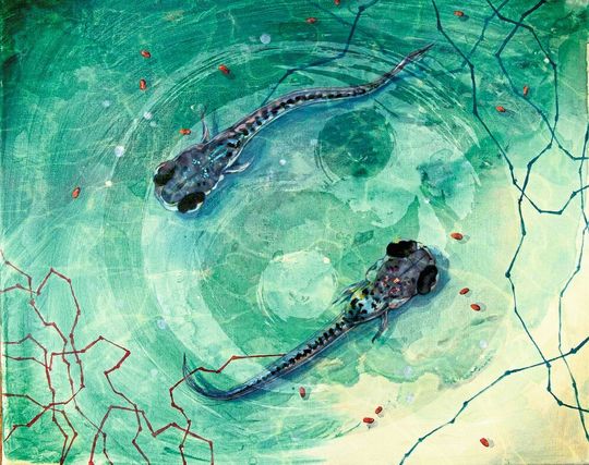 Künstlerische Illustration der Zebrafischlarven Künstlerische Illustration der Zebrafischlarven