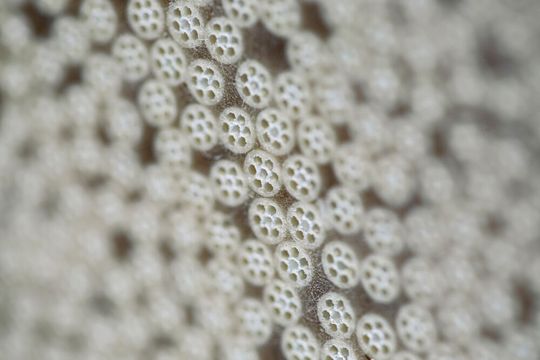 Inge produziert am Standort Greifenberg Ultrafiltrationsmembranen für die Wasseraufbereitung. Inge produziert am Standort Greifenberg Ultrafiltrationsmembranen für die Wasseraufbereitung.