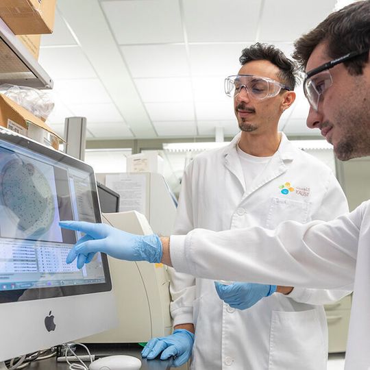 David Mantilla-Calderon (left) and Nicholas Augsburger discuss the results of their UV treatment of the natural transformation they stimulated in a common bacterium when it was in the presence of the chlorine byproduct, bromoacetic acid, casting doubt on commonly used wastewater treatment. David Mantilla-Calderon (left) and Nicholas Augsburger discuss the results of their UV treatment of the natural transformation they stimulated in a common bacterium when it was in the presence of the chlorine byproduct, bromoacetic acid, casting doubt on commonly used wastewater treatment.