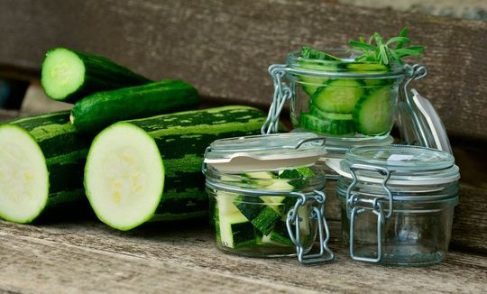 Das „Gurken-Virus“ Cucurbit aphid-borne yellows virus (CABYV) wurde 1988 in Frankreich entdeckt und infiziert Kürbisgewächse wie Gurken, Zucchini oder Kürbis. Eine Infektion geht mit teils massiven Ernteeinbußen einher. (Symbolbild) Das „Gurken-Virus“ Cucurbit aphid-borne yellows virus (CABYV) wurde 1988 in Frankreich entdeckt und infiziert Kürbisgewächse wie Gurken, Zucchini oder Kürbis. Eine Infektion geht mit teils massiven Ernteeinbußen einher. (Symbolbild)