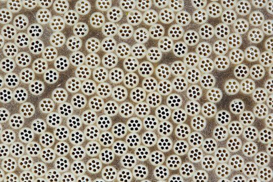 Die Multibore Ultrafiltrationstechnologie von Inge ergänzt künftig das Portfolio an Wasserreinigungs- und Separationsprodukten von Dupont. Die Multibore Ultrafiltrationstechnologie von Inge ergänzt künftig das Portfolio an Wasserreinigungs- und Separationsprodukten von Dupont.