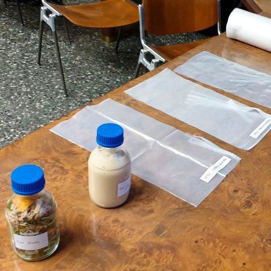 The image shows a sample of the used waste, the taken product from bacteria action, as well as several obtained bioplastic products in the project. The image shows a sample of the used waste, the taken product from bacteria action, as well as several obtained bioplastic products in the project.
