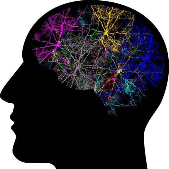 Researchers of the University of Twente developed a brain-inspired network. Researchers of the University of Twente developed a brain-inspired network.