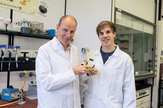 Christian Twittenhoff (rechts) und Franz Narberhaus haben ein Modell erstellt, das zeigt, wie das RNA-Thermometer aufschmilzt.