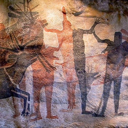 The human-caused biodiversity decline started much earlier than researchers used to believe. The human-caused biodiversity decline started much earlier than researchers used to believe.