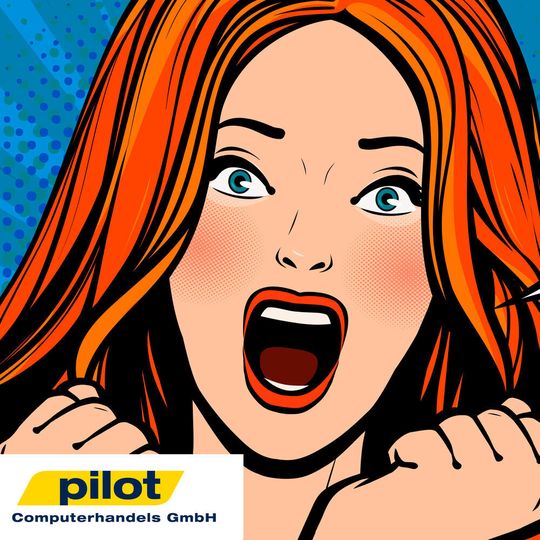 Der Distributor Pilot hat die Website dem unternehmenstypischen „Spirit“ angepasst. Der Distributor Pilot hat die Website dem unternehmenstypischen „Spirit“ angepasst.