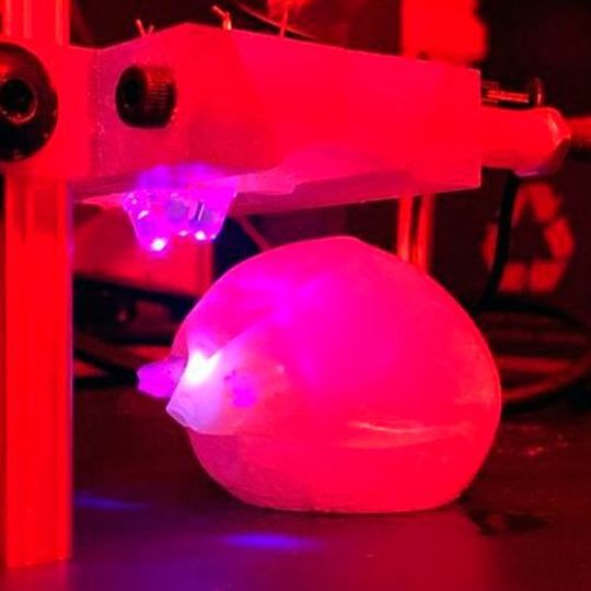 MIT engineers demonstrated a bariatric balloon that can be inflated in the stomach and then degraded by shining light on the seal, which is made of a novel light-sensitive polymer. MIT engineers demonstrated a bariatric balloon that can be inflated in the stomach and then degraded by shining light on the seal, which is made of a novel light-sensitive polymer.