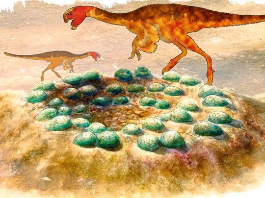 Rekonstruktion eines Geleges mit Silhouetten der Oviraptoren. Rekonstruktion eines Geleges mit Silhouetten der Oviraptoren.