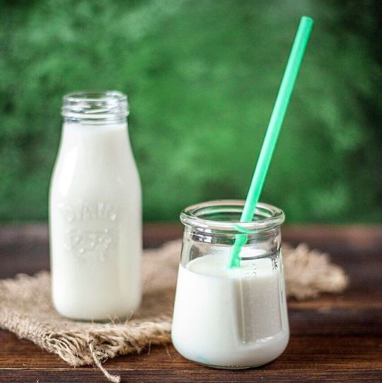 Yoghurt contains beneficial lactose fermenting bacteria. Yoghurt contains beneficial lactose fermenting bacteria.