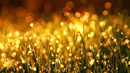 Daten sind das Gold für Marketingverantwortliche. Eine aktuelle Studie zeigt die größten Hindernisse, um datenbasiertes Arbeiten weiter auszubauen, auf. Daten sind das Gold für Marketingverantwortliche. Eine aktuelle Studie zeigt die größten Hindernisse, um datenbasiertes Arbeiten weiter auszubauen, auf.