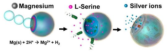 Die Mikrokapseln sollen in drei Stufen wirken: Erst schwimmen sie durch Auflösen ihres Kerns zum Ziel, dann setzen sie Lockstoffe für die Bakterien frei und schließlich entlassen sie Silberionen, um die angelockten Bakterien abzutöten.