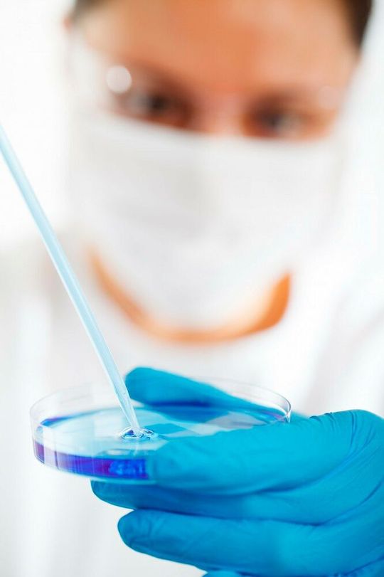 Rund zwei Drittel aller klinischen Diagnosen werden auf Basis von Laboruntersuchungen gestellt. (Symbolbild) Rund zwei Drittel aller klinischen Diagnosen werden auf Basis von Laboruntersuchungen gestellt. (Symbolbild)