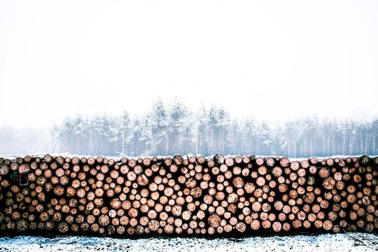 Die geplante Bioraffinerie in Leuna wird eine neue Generation von nachhaltigen, chemischen Grundstoffen aus Holz herstellen. Die geplante Bioraffinerie in Leuna wird eine neue Generation von nachhaltigen, chemischen Grundstoffen aus Holz herstellen.