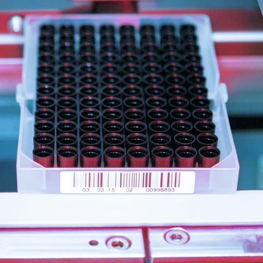 Mit Thermodirekt- oder Thermotransferverfahren gedruckte Etiketten halten zuverlässig. Mit Thermodirekt- oder Thermotransferverfahren gedruckte Etiketten halten zuverlässig.