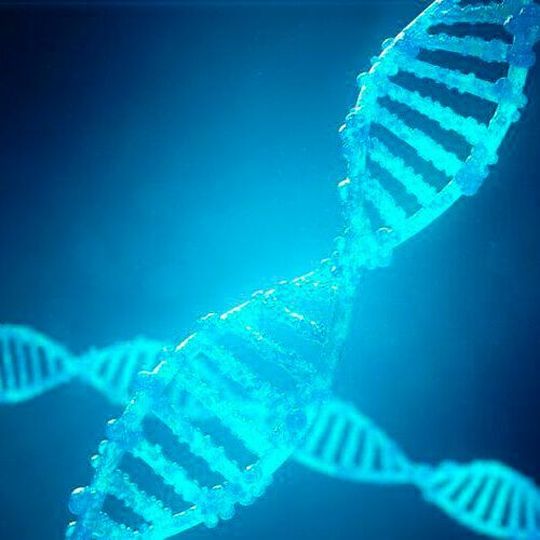 The Pocare platform provides cell and gene therapy solutions in a cost effective, high quality and scalable manner, using closed systems at the point of care. The Pocare platform provides cell and gene therapy solutions in a cost effective, high quality and scalable manner, using closed systems at the point of care.