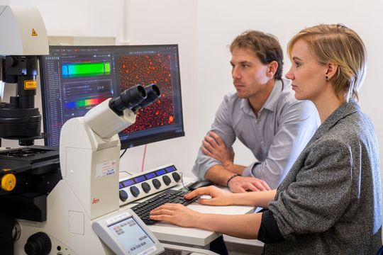 Prof. Job Boekhoven und Caren Wanzke haben ein neues Materialsystem entdeckt, das Arzneimittel über einen einstellbaren Zeitraum mit einer konstanten Rate freisetzen kann. Prof. Job Boekhoven und Caren Wanzke haben ein neues Materialsystem entdeckt, das Arzneimittel über einen einstellbaren Zeitraum mit einer konstanten Rate freisetzen kann.