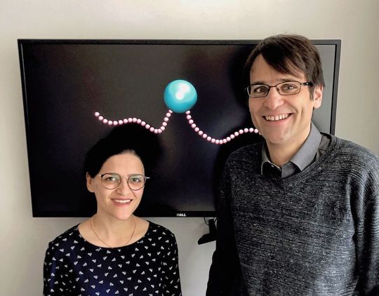 Dr. Sarah Mohammadinejad und Prof. Dr. Stefan Klumpp aus Göttingen haben Simulationen zum Schwimmstil von Bakterien durchgeführt. Dr. Sarah Mohammadinejad und Prof. Dr. Stefan Klumpp aus Göttingen haben Simulationen zum Schwimmstil von Bakterien durchgeführt.