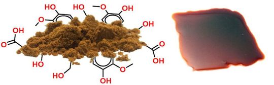 Lignin als Rohstoff (links) und daraus erzeugtes Hartplastik (rechts)