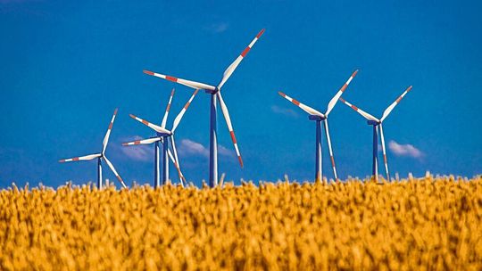 Trotz des Windkraft-Rekords warnen Forscher vor einem zu zögerlichen Ausbau Erneuerbarer Energien. Trotz des Windkraft-Rekords warnen Forscher vor einem zu zögerlichen Ausbau Erneuerbarer Energien.