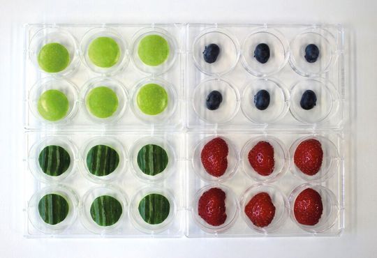 Mit Noroviren kontaminierte Äpfel, Gurken sowie Heidel- und Erdbeeren in einer Versuchsanordnung auf Multiwell-Platten. Mit Noroviren kontaminierte Äpfel, Gurken sowie Heidel- und Erdbeeren in einer Versuchsanordnung auf Multiwell-Platten.