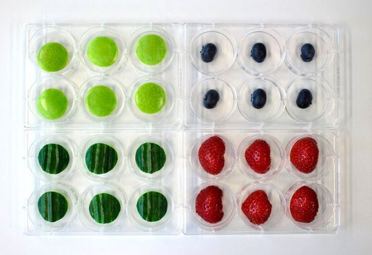 Mit Noroviren kontaminierte Äpfel, Gurken sowie Heidel- und Erdbeeren in einer Versuchsanordnung auf Multiwell-Platten. Mit Noroviren kontaminierte Äpfel, Gurken sowie Heidel- und Erdbeeren in einer Versuchsanordnung auf Multiwell-Platten.