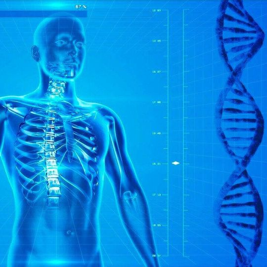 Innovations in CAR-T therapies across Apac will make global market more competitive, says Global Data. (symbolic image) Innovations in CAR-T therapies across Apac will make global market more competitive, says Global Data. (symbolic image)