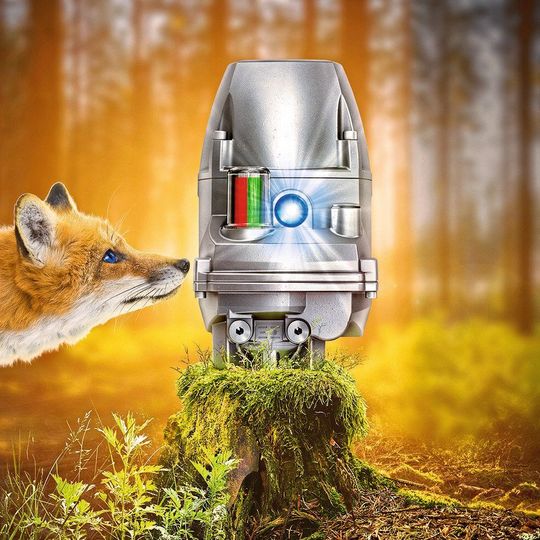 So clever, anpassungsfähig und widerstandsfähig wie ein Fuchs: der neue smarte Profox von Auma So clever, anpassungsfähig und widerstandsfähig wie ein Fuchs: der neue smarte Profox von Auma