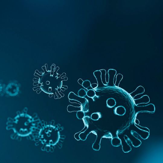 Researchers at Karolinska Institutet are on track to produce a vaccine against the new coronavirus. Researchers at Karolinska Institutet are on track to produce a vaccine against the new coronavirus.