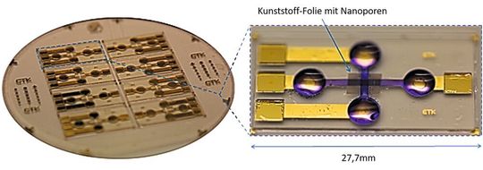 Lab-on-Chip: 4 x 2 Array mit integrierten Nanoporen-Polymerfolien auf einem 4“-Substrat. Rechts: Erkennbar sind die Mess­elektroden aus Gold sowie die sich überkreuzenden Mikrokanäle.