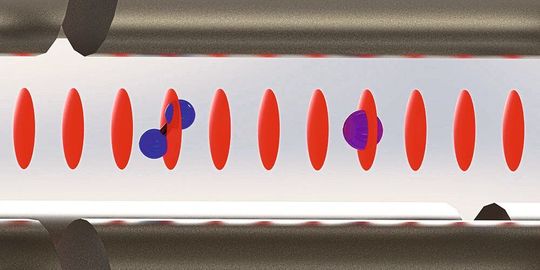 Ein geladenes Stickstoffmolekül wird von einem Kalzium-Ion in einem optischen Gitter störungsfrei ausgelesen. Ein geladenes Stickstoffmolekül wird von einem Kalzium-Ion in einem optischen Gitter störungsfrei ausgelesen.