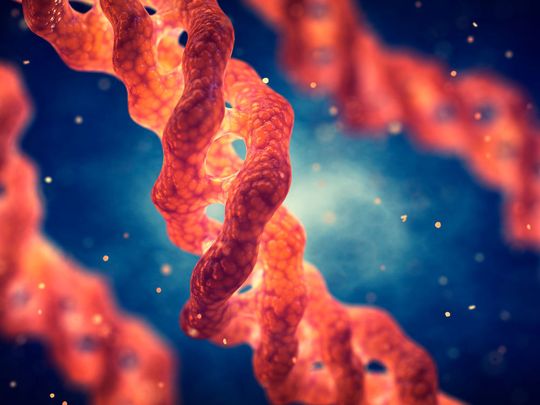 Die Kollagene der proprietären Technologieplattform von Evonik besitzen eine Dreifachhelix und ähneln in vielen Eigenschaften dem menschlichen Kollagen. Die Kollagene der proprietären Technologieplattform von Evonik besitzen eine Dreifachhelix und ähneln in vielen Eigenschaften dem menschlichen Kollagen.