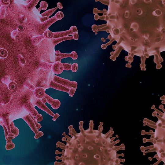 Die Innoplexus AG macht ihre Ontosight-KI-Suchplattform zugunsten der COVID-19-Forschung allgemein zugänglich. Die Innoplexus AG macht ihre Ontosight-KI-Suchplattform zugunsten der COVID-19-Forschung allgemein zugänglich.
