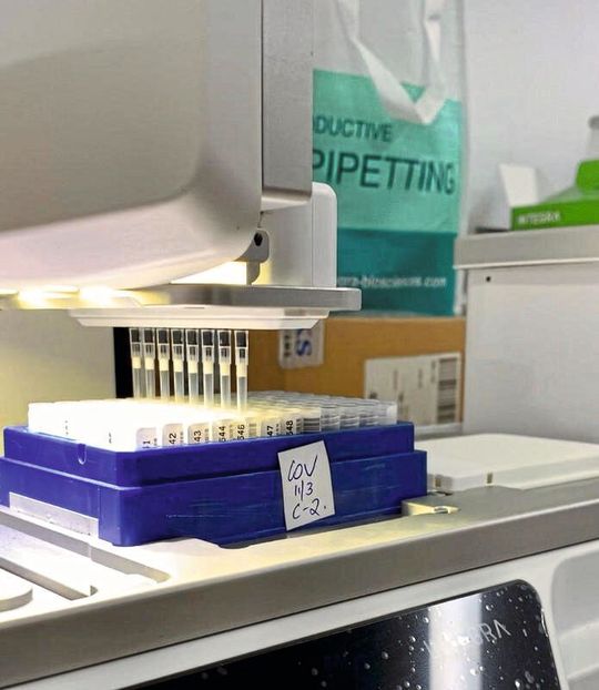 Der Pipettierroboter von Integra kann den Durchsatz von Corona-Tests erhöhen.