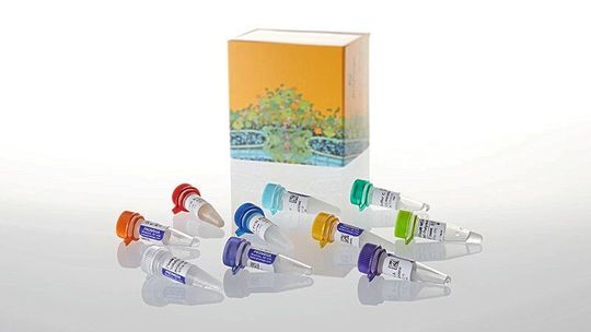 Das PCR Optimization Kit von Promega