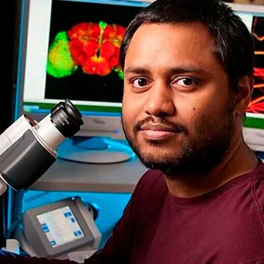 The findings of Dr. Amitabha Majumdar are expected to pave the way for further exploration of the huntington disease. The findings of Dr. Amitabha Majumdar are expected to pave the way for further exploration of the huntington disease.