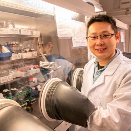 An organic molecule makes the perovskite crystal more stable, says Heyong Wang, PhD student at the department of Biomolecular and Organic Electronics. An organic molecule makes the perovskite crystal more stable, says Heyong Wang, PhD student at the department of Biomolecular and Organic Electronics.