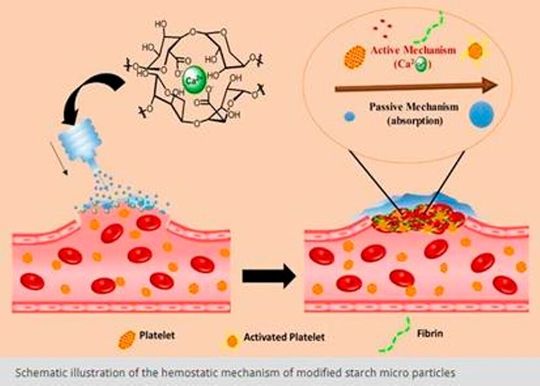 Schematic illustration of the hemostatic mechanism of modified starch micro particles.