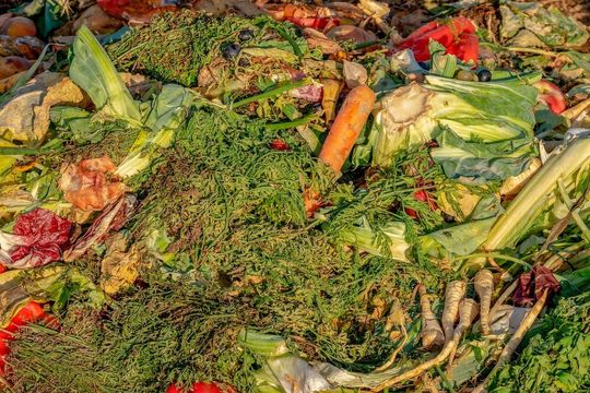 Das Förderprojekt „Reif – Ressource-efficient, Economic and Intelligent Foodchain“ setzt sich zum Ziel, die Verschwendung in der Lebensmittelindustrie zu minimieren. Das Förderprojekt „Reif – Ressource-efficient, Economic and Intelligent Foodchain“ setzt sich zum Ziel, die Verschwendung in der Lebensmittelindustrie zu minimieren.