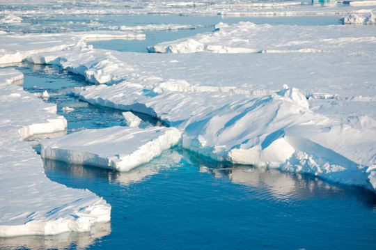As a result of global warming, the overall area of the Arctic Ocean covered by sea-ice has reduced rapidly. As a result of global warming, the overall area of the Arctic Ocean covered by sea-ice has reduced rapidly.