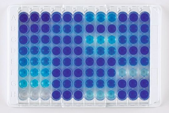 Die Viaflo-96/384-Pipette ermöglicht die gleichzeitige Übertragung von Proben und Reagenzien auf eine 96- oder 384-Well-Platte. Die Viaflo-96/384-Pipette ermöglicht die gleichzeitige Übertragung von Proben und Reagenzien auf eine 96- oder 384-Well-Platte.