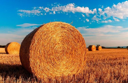 Für den Treibstoff nutzen die Forscherinnen und Forscher am Fraunhofer Umsicht Bioethanol aus Weizenstroh. Für den Treibstoff nutzen die Forscherinnen und Forscher am Fraunhofer Umsicht Bioethanol aus Weizenstroh.