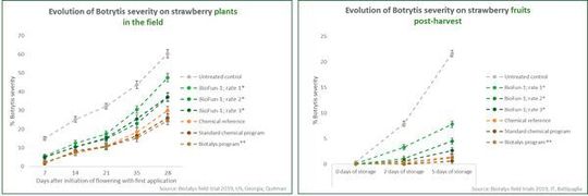 Results from the 2019 field trial program that included > 50 efficacy trials against major pests such as Botrytis cinerea and powdery mildew. Results from the 2019 field trial program that included > 50 efficacy trials against major pests such as Botrytis cinerea and powdery mildew.