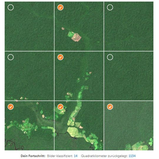 Per App werten „Citizen Scientists“ Bildmaterial aus. Per App werten „Citizen Scientists“ Bildmaterial aus.